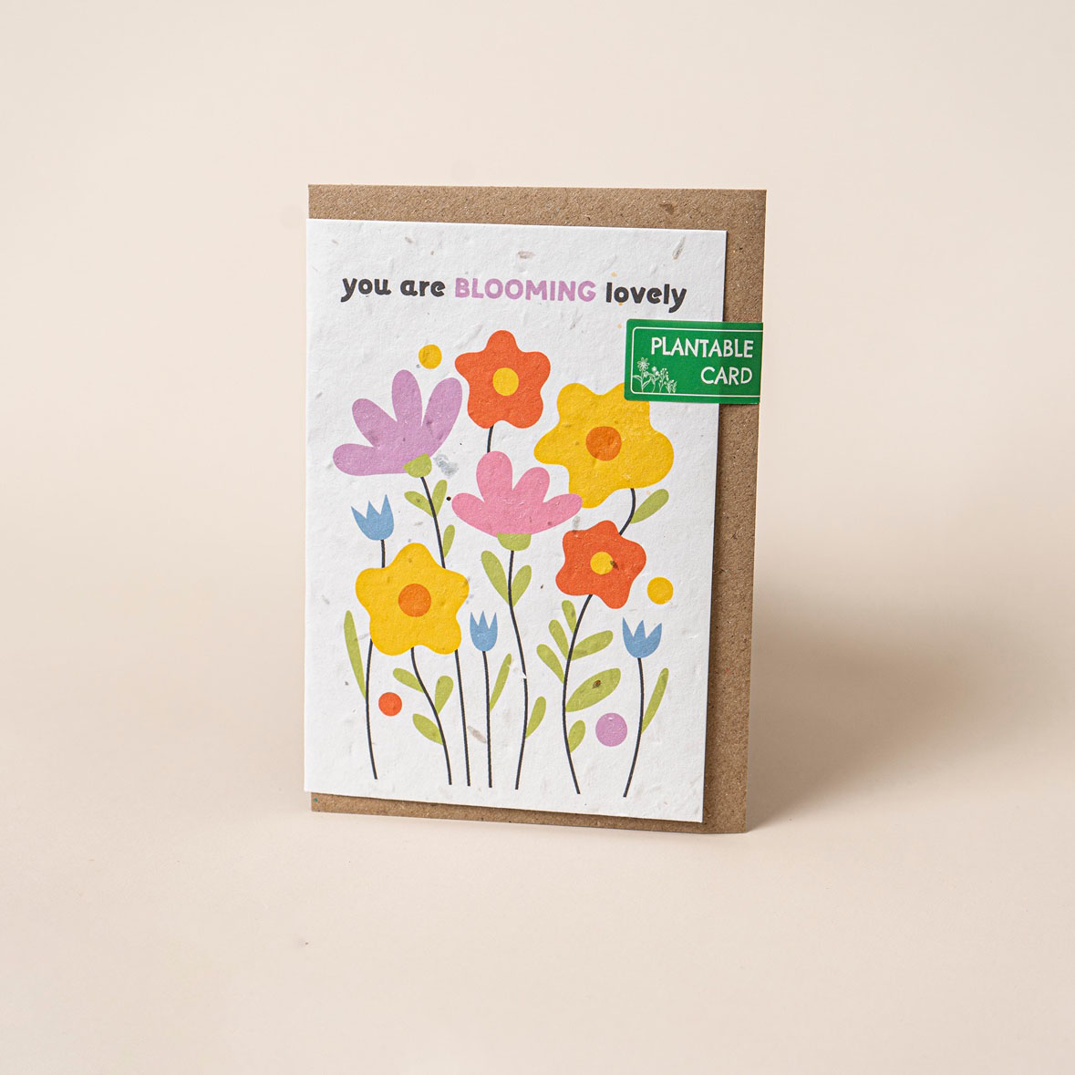 NEW! Plantable Wildflower Greetings Cards – willsow