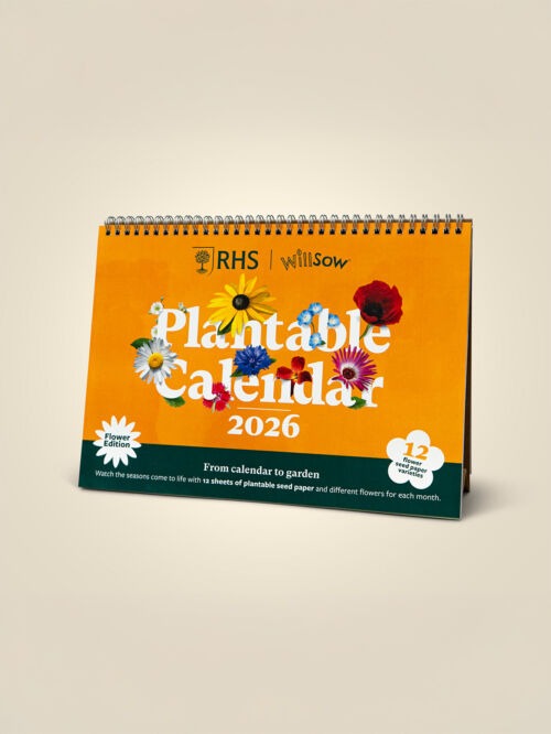 NEW! Plantable Flower Desk Calendar (A4)
