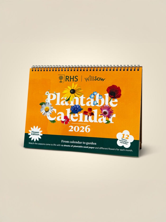 NEW! Plantable Desk Calendar (A4)