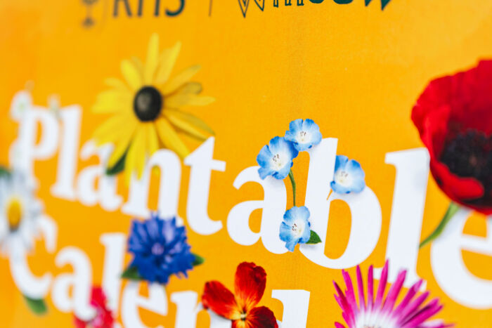 NEW! Plantable Desk Calendar (A5) - Image 9