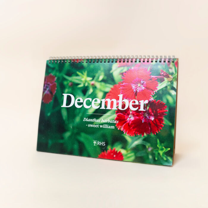 NEW! Plantable Desk Calendar (A5) - Image 6