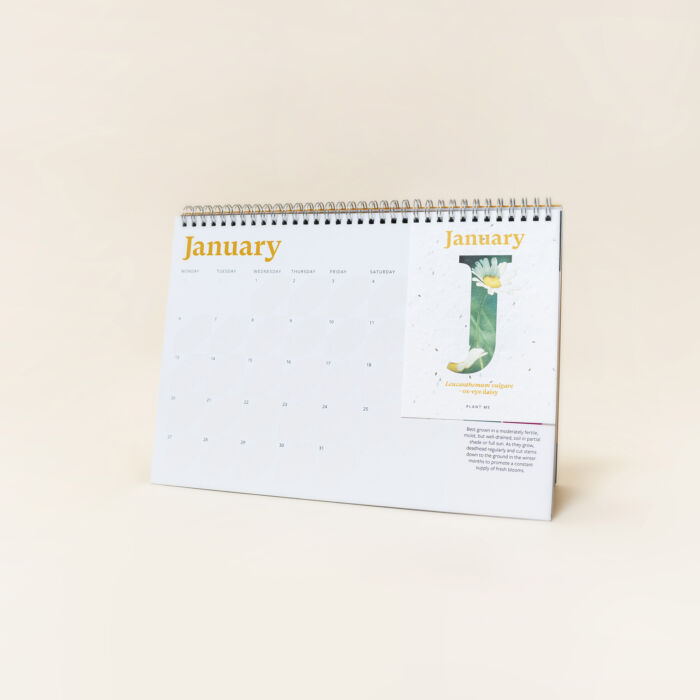 NEW! Plantable Desk Calendar (A5) - Image 8