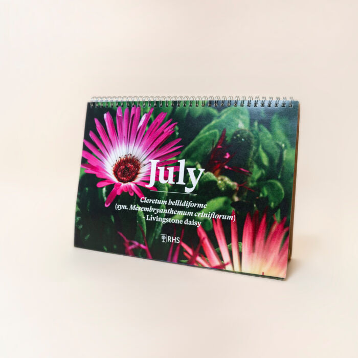 NEW! Plantable Desk Calendar (A5) - Image 7