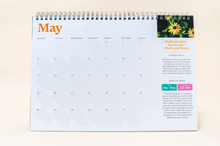 NEW! Plantable Desk Calendar (A5) - Image 10