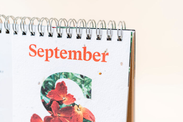 NEW! Plantable Desk Calendar (A5) - Image 12