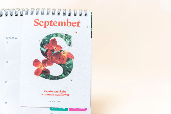 NEW! Plantable Desk Calendar (A5) - Image 11