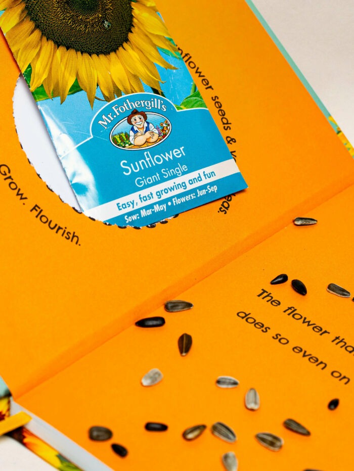 Blooming Notebook - Sunflower Seeds - Purple (A5) - Image 4