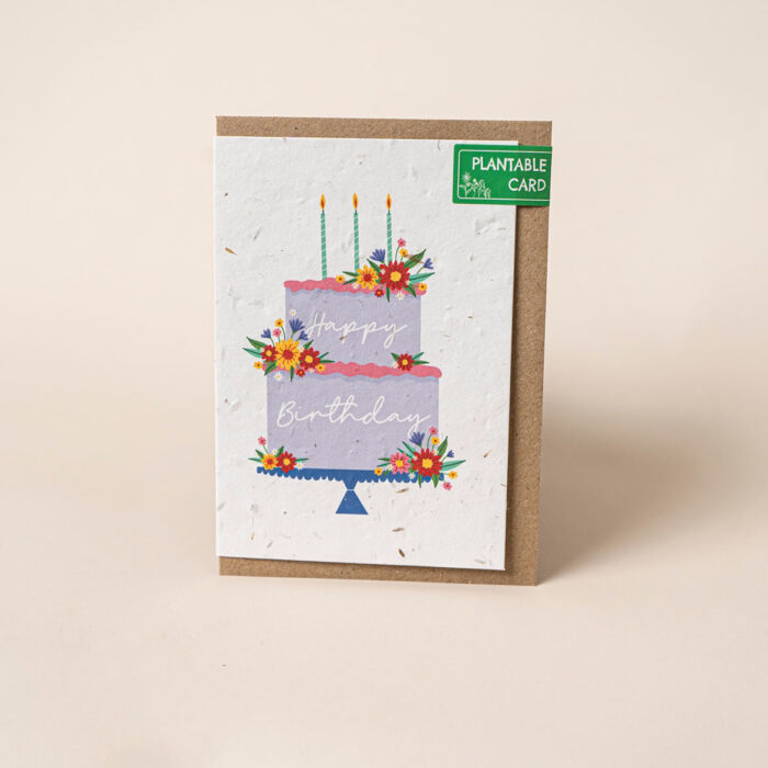 Willsow Plantable Wildflower Greetings Card - Happy Birthday Cake