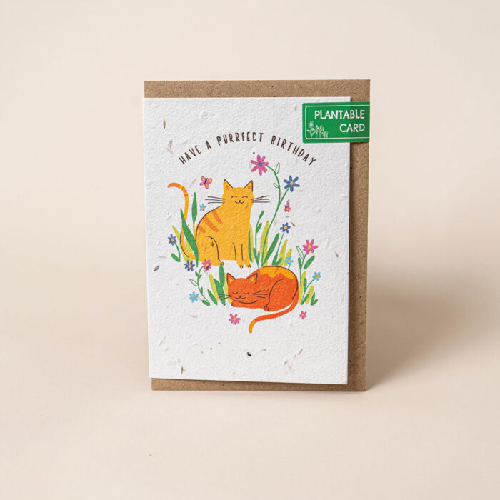 Willsow Plantable Wildflower Greetings Card - Purrfect Birthday